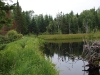 Second beaver dam